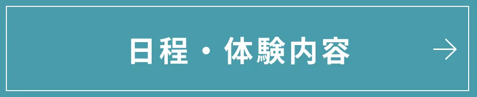 日程・体験内容